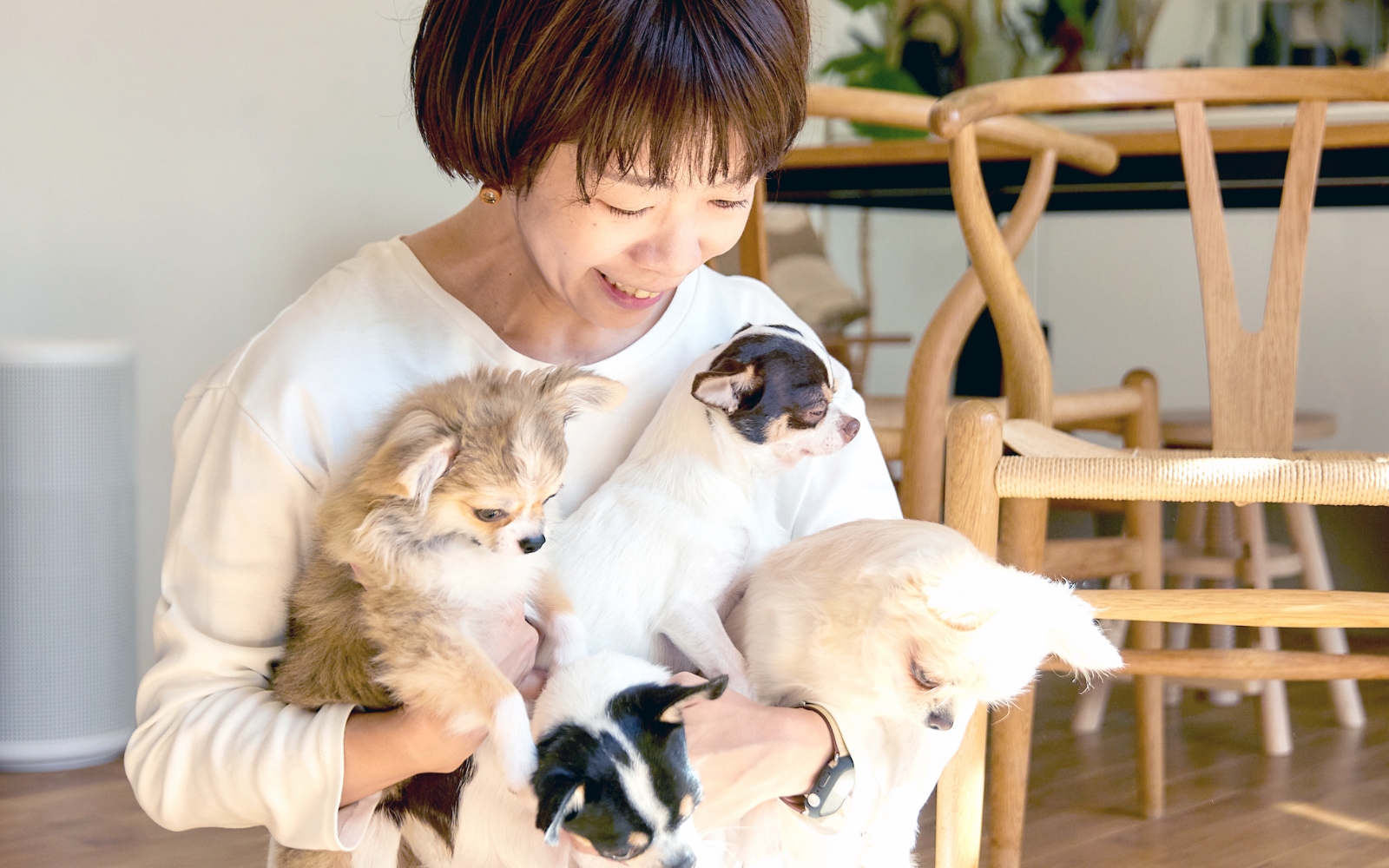 ハギヤマジュンコ